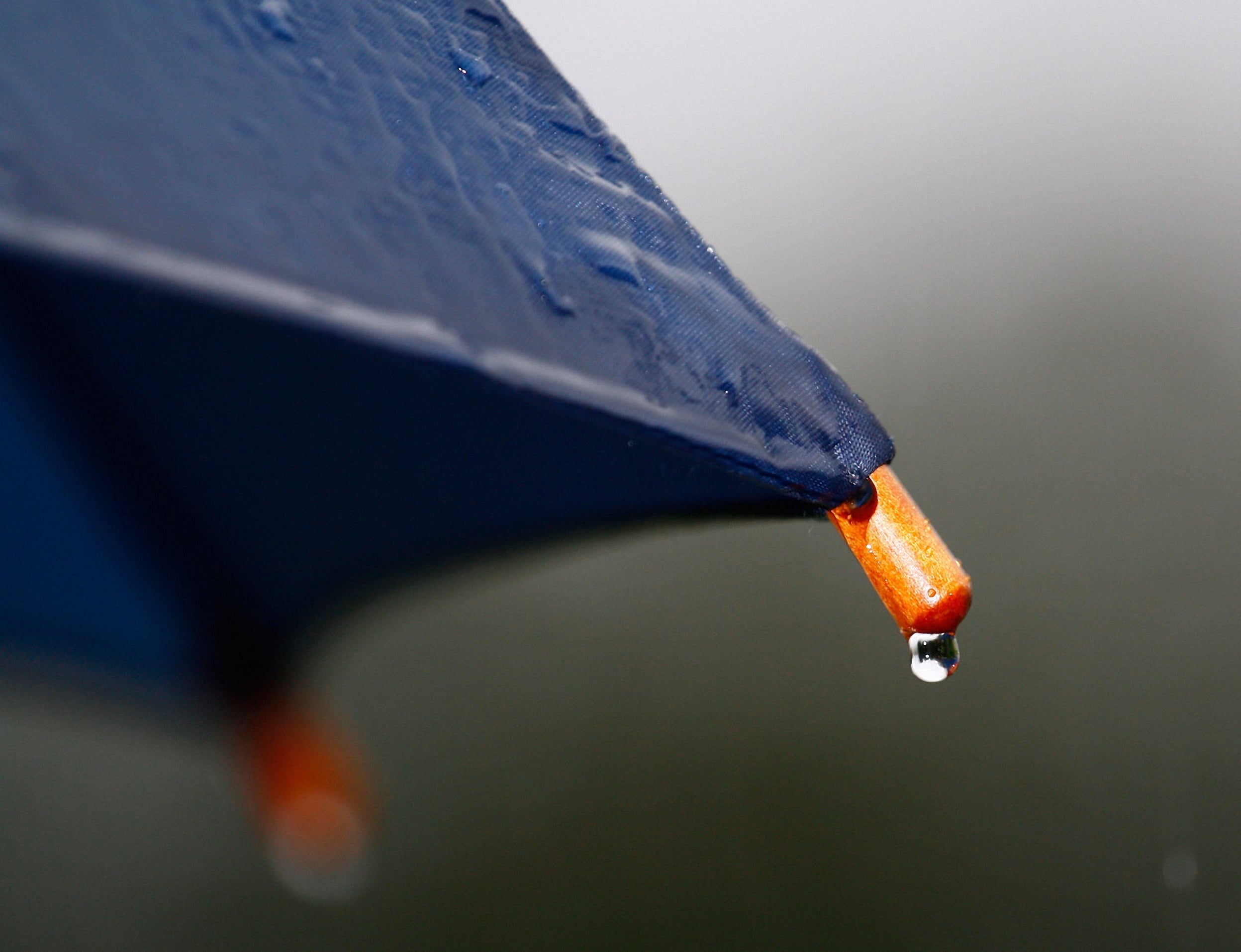rain-1514257 rain-1514257