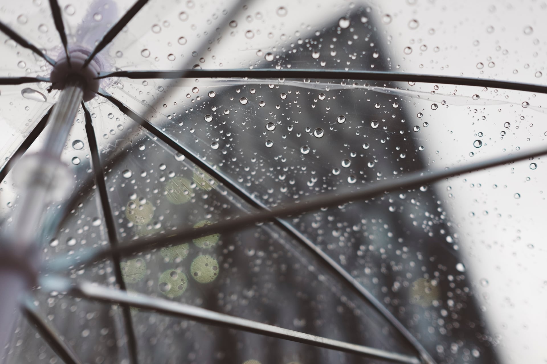clear umbrella clear umbrella